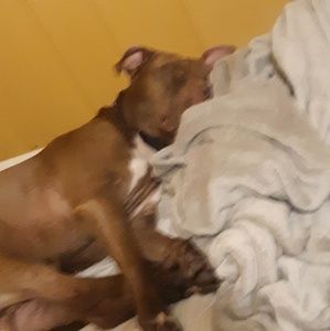 Meet your Posher, Sharon